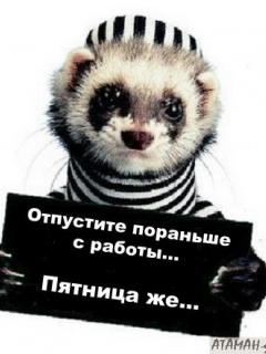 Other Wallpapers 0667